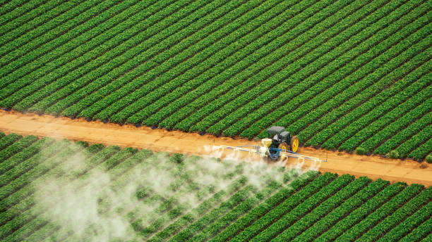 Pest Control Cost in Navasota, TX
