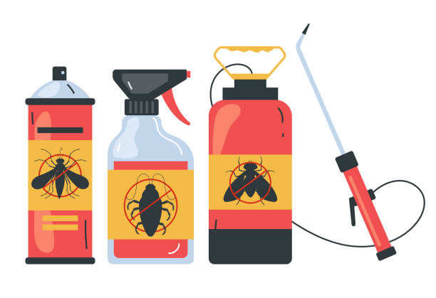 Best Pest Control Near Me in Navasota, TX