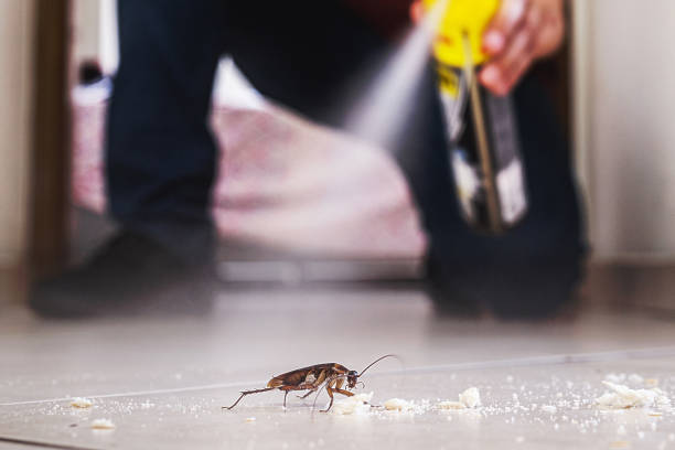 Trusted Navasota, TX Pest Control Experts